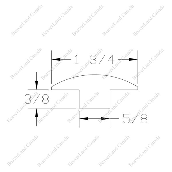 TM201 Regular T-Moulding Red Oak 9/16”*13/4”*12ft - Image 3