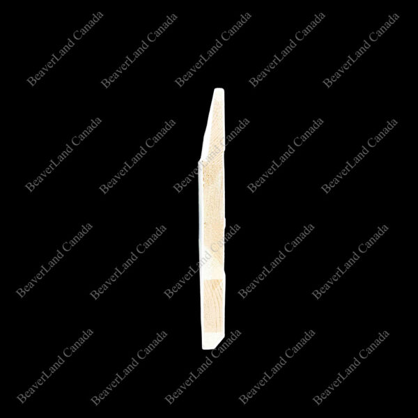 BB102 Step Bevel Baseboard Primed White 7-1/4''*1/2'', Available in 8ft,10ft,12ft - Image 2