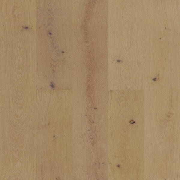 European Oak - Bode 8 1/2" Engineered Hardwood 20.84sqft/box