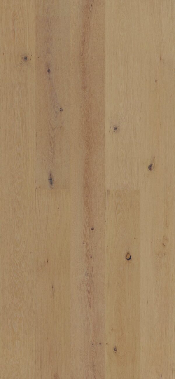 European Oak - Bode 8 1/2" Engineered Hardwood 20.84sqft/box - Image 2