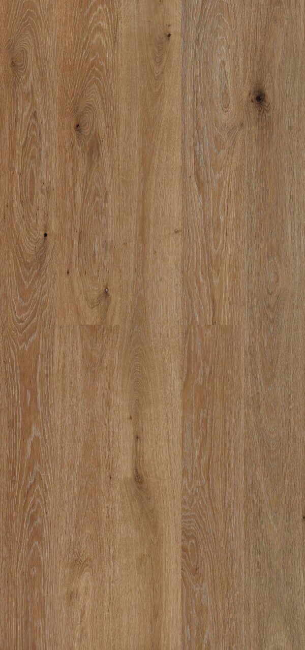 European Oak - Centaurus 8 1/2" Engineered Hardwood 20.84sqft/box - Image 2