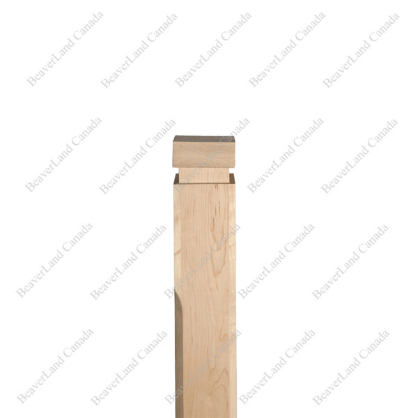 PM201 1264 Maple (Available in Metal Frame) - Image 5