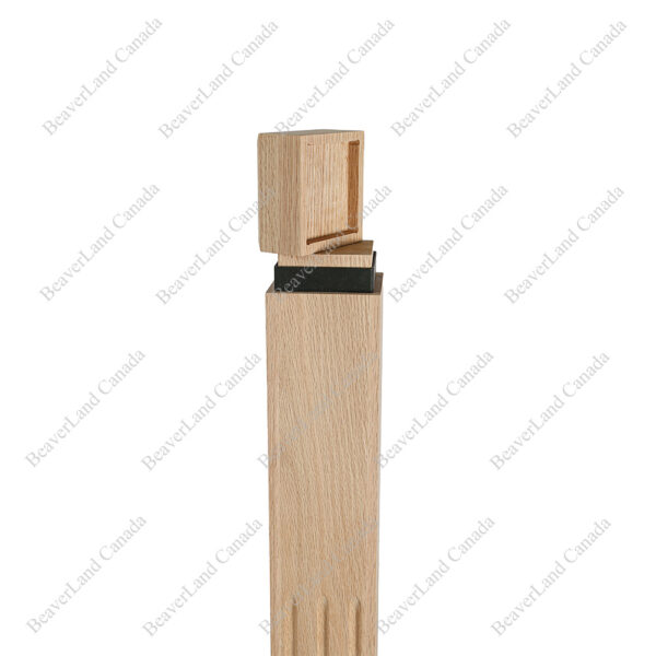 PM101 1263 Red Oak (Available in Metal Frame) - Image 4