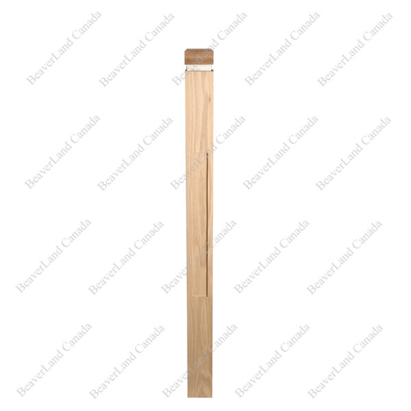 PM101 1265 Red Oak (Available in Metal Frame) - Image 4