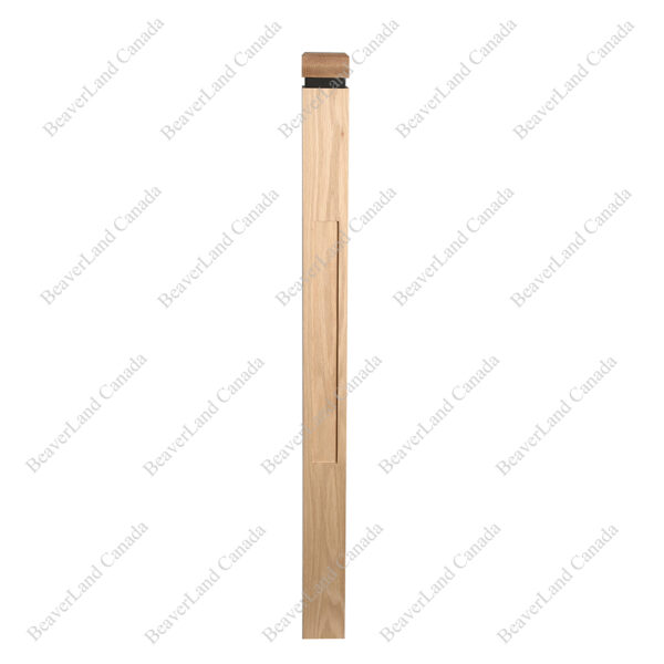 PM301 1265 White Oak (Available in Metal Frame) - Image 3