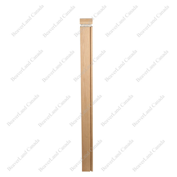 PM101 1269 Red Oak (Available in Metal Frame) - Image 3