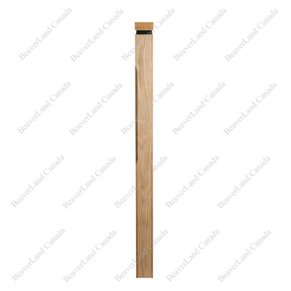 PM101 1264 Red Oak (Available in Metal Frame) - Image 4