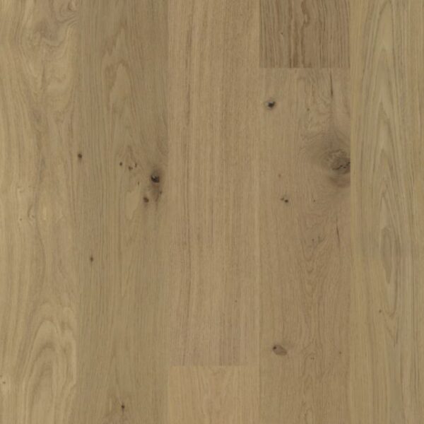 European Oak - Mellow Rhapsody 6 1/2" Engineered Hardwood