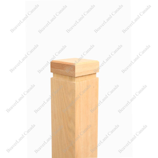 PM101 1260 Red Oak (Available in Metal Frame Red Oak) - Image 16