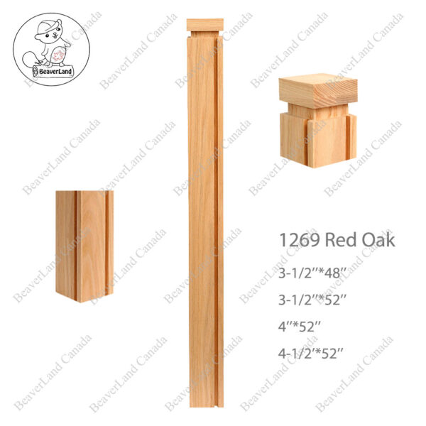 PM101 1269 Red Oak (Available in Metal Frame) - Image 11